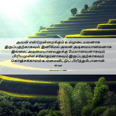Picture 06 - பிலேமோன் 1:15 TAMIRV - அவன் - Bible Verse Picture