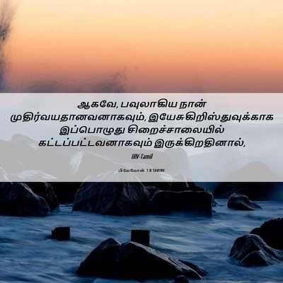 Picture 06 - பிலேமோன் 1:8 TAMIRV - ஆகவே, பவுலாகிய - Bible Verse Picture