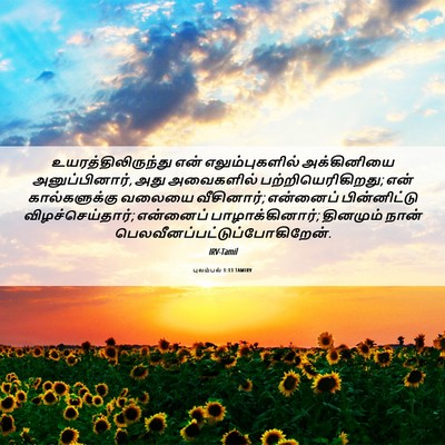Picture 06 - புலம்பல் 1:13 TAMIRV - உயரத்திலிருந்து - Bible Verse Picture