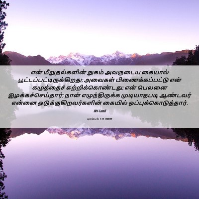 Picture 06 - புலம்பல் 1:14 TAMIRV - என் மீறுதல்களின் - Bible Verse Picture
