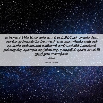 Picture 06 - புலம்பல் 1:19 TAMIRV - என்னைச் - Bible Verse Picture