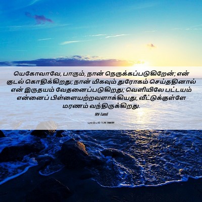 Picture 06 - புலம்பல் 1:20 TAMIRV - யெகோவாவே, பாரும், - Bible Verse Picture