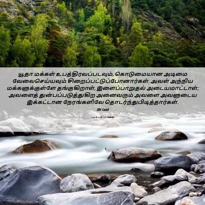 Picture 06 - புலம்பல் 1:3 TAMIRV - யூதா மக்கள் - Bible Verse Picture