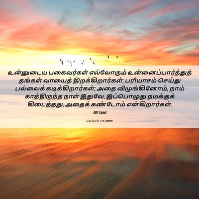 Picture 06 - புலம்பல் 2:16 TAMIRV - உன்னுடைய - Bible Verse Picture