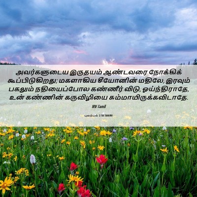 Picture 06 - புலம்பல் 2:18 TAMIRV - அவர்களுடைய - Bible Verse Picture