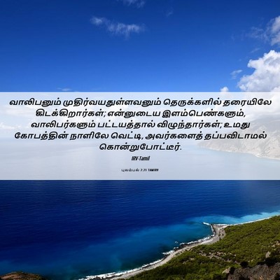 Picture 06 - புலம்பல் 2:21 TAMIRV - வாலிபனும் - Bible Verse Picture