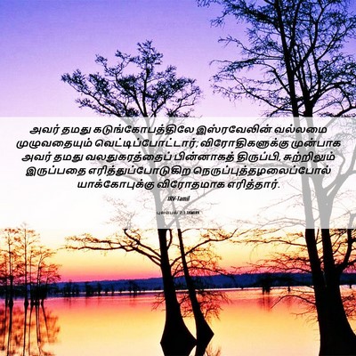 Picture 06 - புலம்பல் 2:3 TAMIRV - அவர் தமது - Bible Verse Picture
