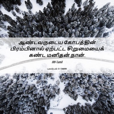 Picture 06 - புலம்பல் 3:1 TAMIRV - ஆண்டவருடைய - Bible Verse Picture