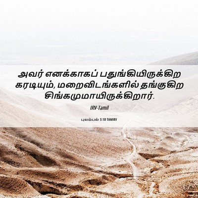 Picture 06 - புலம்பல் 3:10 TAMIRV - அவர் எனக்காகப் - Bible Verse Picture