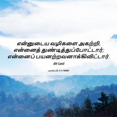 Picture 06 - புலம்பல் 3:11 TAMIRV - என்னுடைய வழிகளை - Bible Verse Picture