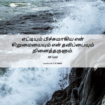 Picture 06 - புலம்பல் 3:19 TAMIRV - எட்டியும் - Bible Verse Picture