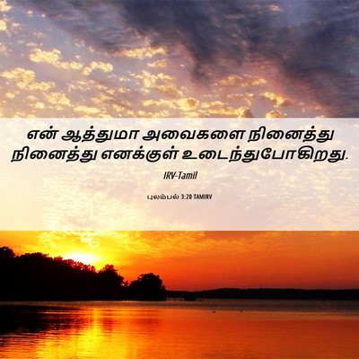 Picture 06 - புலம்பல் 3:20 TAMIRV - என் ஆத்துமா - Bible Verse Picture