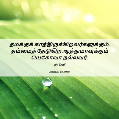 Picture 06 - புலம்பல் 3:25 TAMIRV - தமக்குக் - Bible Verse Picture