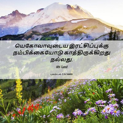 Picture 06 - புலம்பல் 3:26 TAMIRV - யெகோவாவுடைய - Bible Verse Picture