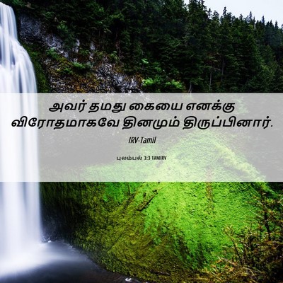 Picture 06 - புலம்பல் 3:3 TAMIRV - அவர் தமது கையை - Bible Verse Picture