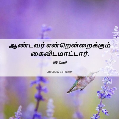 Picture 06 - புலம்பல் 3:31 TAMIRV - ஆண்டவர் - Bible Verse Picture