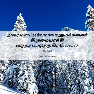 Picture 06 - புலம்பல் 3:33 TAMIRV - அவர் மனப்பூர்வமாக - Bible Verse Picture