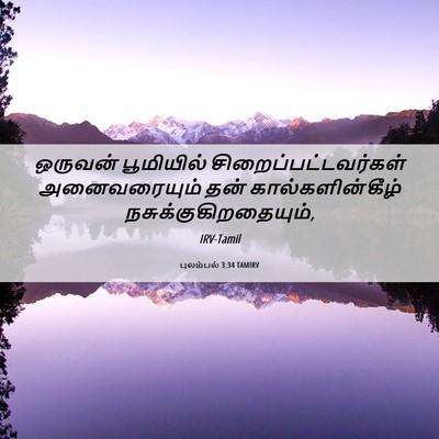 Picture 06 - புலம்பல் 3:34 TAMIRV - ஒருவன் பூமியில் - Bible Verse Picture
