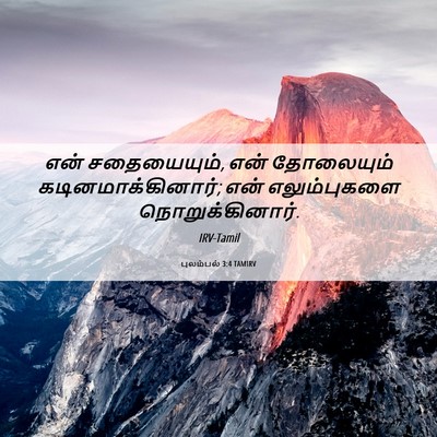 Picture 06 - புலம்பல் 3:4 TAMIRV - என் சதையையும், என் - Bible Verse Picture