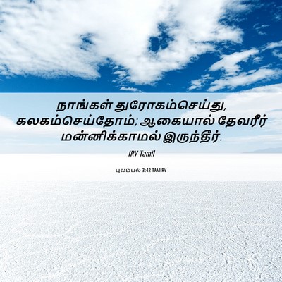 Picture 06 - புலம்பல் 3:42 TAMIRV - நாங்கள் - Bible Verse Picture