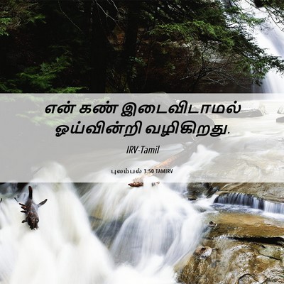 Picture 06 - புலம்பல் 3:50 TAMIRV - என் கண் - Bible Verse Picture
