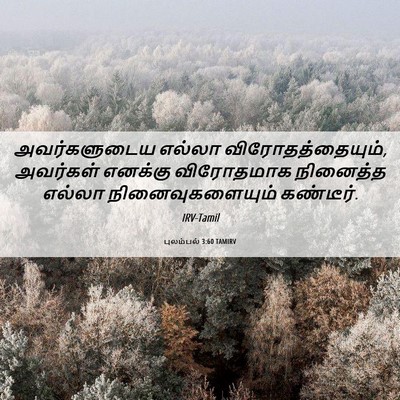 Picture 06 - புலம்பல் 3:60 TAMIRV - அவர்களுடைய எல்லா - Bible Verse Picture