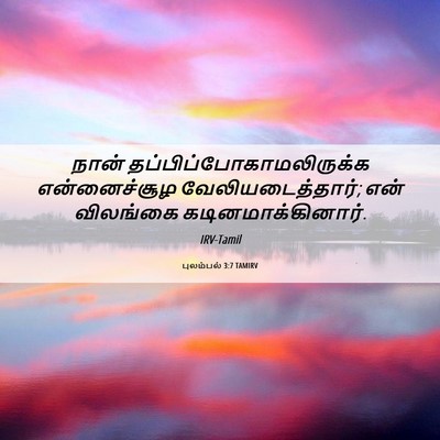 Picture 06 - புலம்பல் 3:7 TAMIRV - நான் - Bible Verse Picture