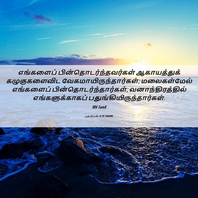 Picture 06 - புலம்பல் 4:19 TAMIRV - எங்களைப் - Bible Verse Picture