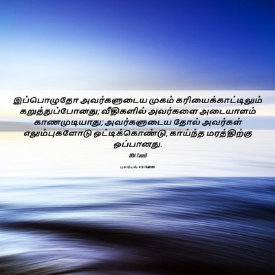 Picture 06 - புலம்பல் 4:8 TAMIRV - இப்பொழுதோ - Bible Verse Picture