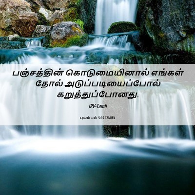 Picture 06 - புலம்பல் 5:10 TAMIRV - பஞ்சத்தின் - Bible Verse Picture