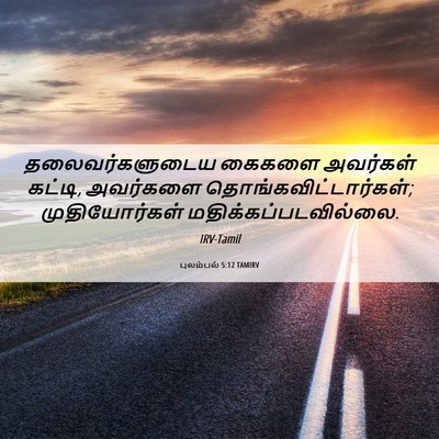 Picture 06 - புலம்பல் 5:12 TAMIRV - தலைவர்களுடைய - Bible Verse Picture