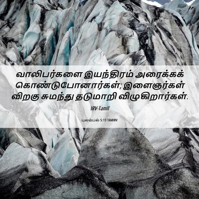 Picture 06 - புலம்பல் 5:13 TAMIRV - வாலிபர்களை - Bible Verse Picture