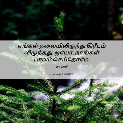 Picture 06 - புலம்பல் 5:16 TAMIRV - எங்கள் - Bible Verse Picture