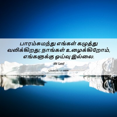 Picture 06 - புலம்பல் 5:5 TAMIRV - பாரம்சுமந்து - Bible Verse Picture