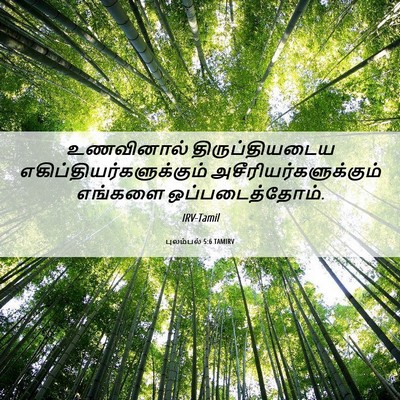 Picture 06 - புலம்பல் 5:6 TAMIRV - உணவினால் - Bible Verse Picture