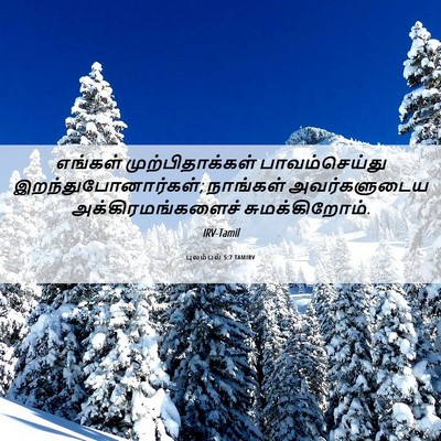 Picture 06 - புலம்பல் 5:7 TAMIRV - எங்கள் - Bible Verse Picture
