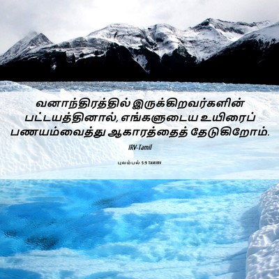 Picture 06 - புலம்பல் 5:9 TAMIRV - வனாந்திரத்தில் - Bible Verse Picture