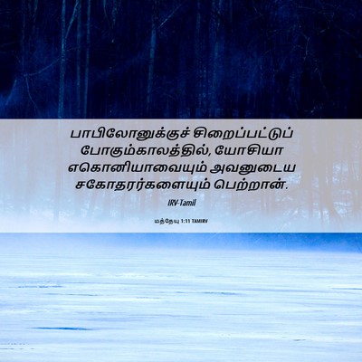 Picture 06 - மத்தேயு 1:11 TAMIRV - பாபிலோனுக்குச் - Bible Verse Picture
