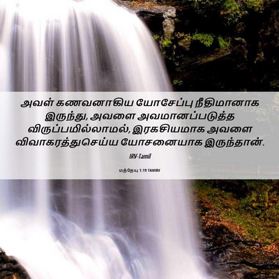 Picture 06 - மத்தேயு 1:19 TAMIRV - அவள் கணவனாகிய - Bible Verse Picture