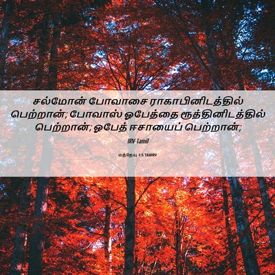 Picture 06 - மத்தேயு 1:5 TAMIRV - சல்மோன் போவாசை - Bible Verse Picture