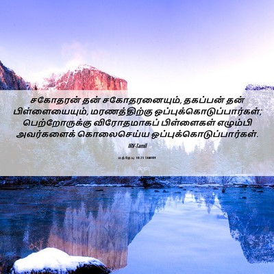 Picture 06 - மத்தேயு 10:21 TAMIRV - சகோதரன் தன் - Bible Verse Picture