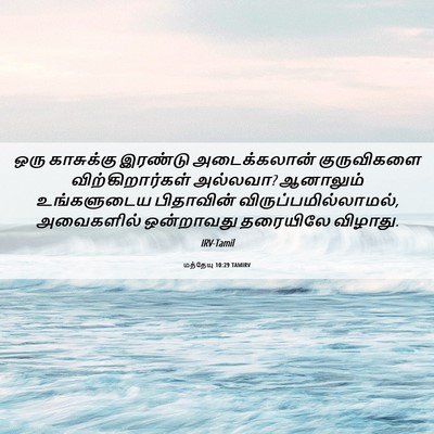 Picture 06 - மத்தேயு 10:29 TAMIRV - ஒரு காசுக்கு - Bible Verse Picture