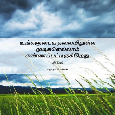 Picture 06 - மத்தேயு 10:30 TAMIRV - உங்களுடைய - Bible Verse Picture