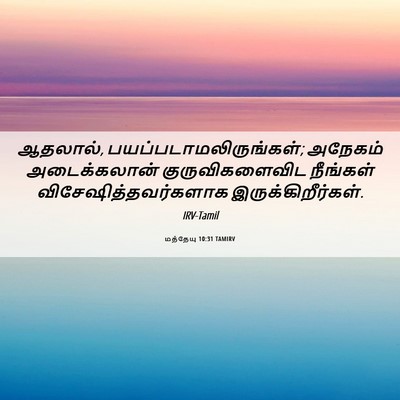 Picture 06 - மத்தேயு 10:31 TAMIRV - ஆதலால், - Bible Verse Picture