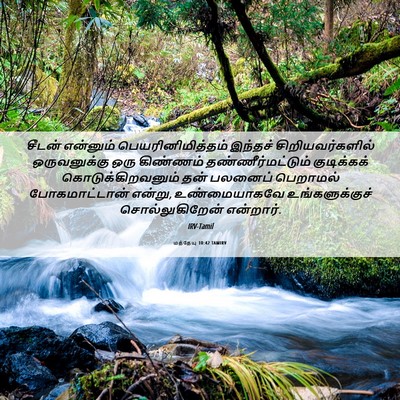 Picture 06 - மத்தேயு 10:42 TAMIRV - சீடன் என்னும் - Bible Verse Picture