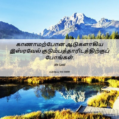 Picture 06 - மத்தேயு 10:6 TAMIRV - காணாமற்போன - Bible Verse Picture