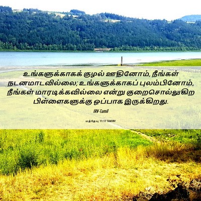 Picture 06 - மத்தேயு 11:17 TAMIRV - உங்களுக்காகக் - Bible Verse Picture