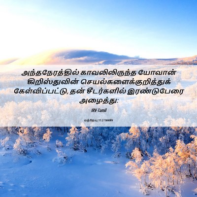 Picture 06 - மத்தேயு 11:2 TAMIRV - அந்தநேரத்தில் - Bible Verse Picture
