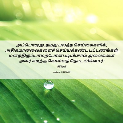 Picture 06 - மத்தேயு 11:20 TAMIRV - அப்பொழுது, தமது - Bible Verse Picture