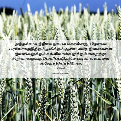 Picture 06 - மத்தேயு 11:25 TAMIRV - அந்தச் சமயத்திலே - Bible Verse Picture
